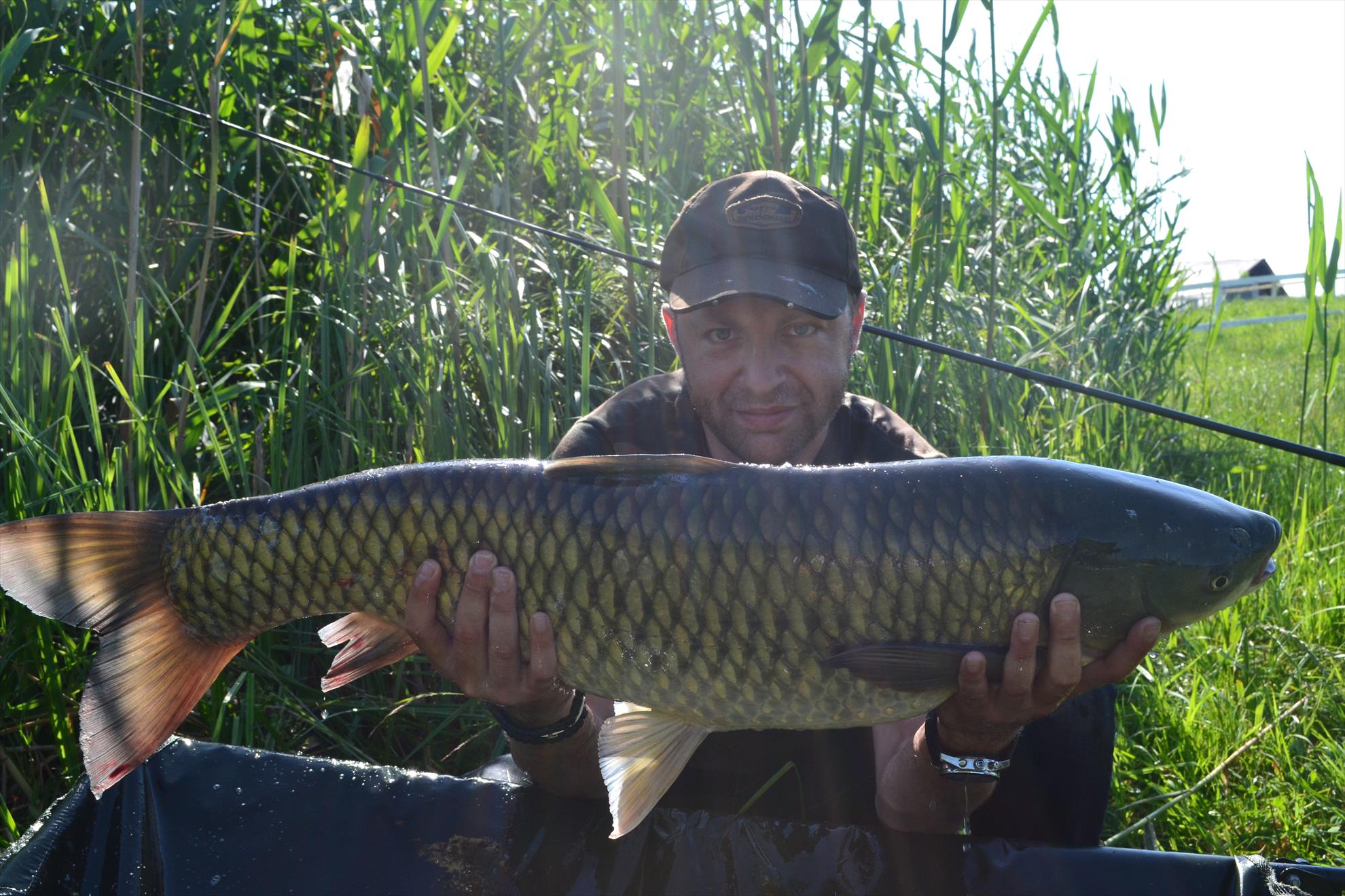 Pescuit Balta Lazar 6-8 iunie 2014 - dsc0030.JPG